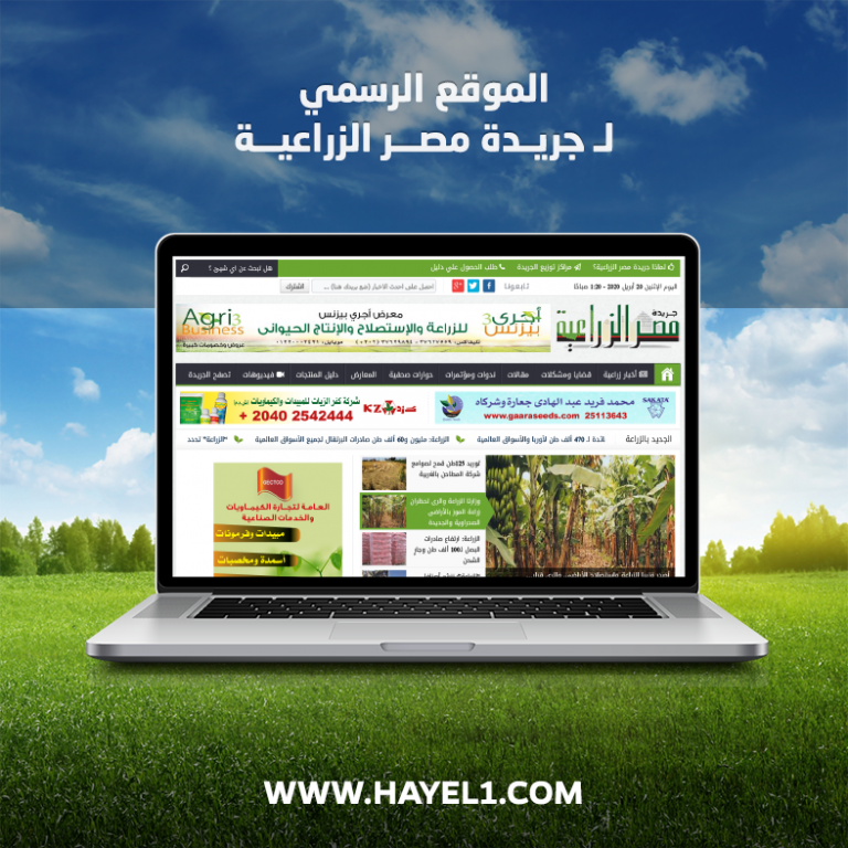 Egy Agricultural Newspaper – website design